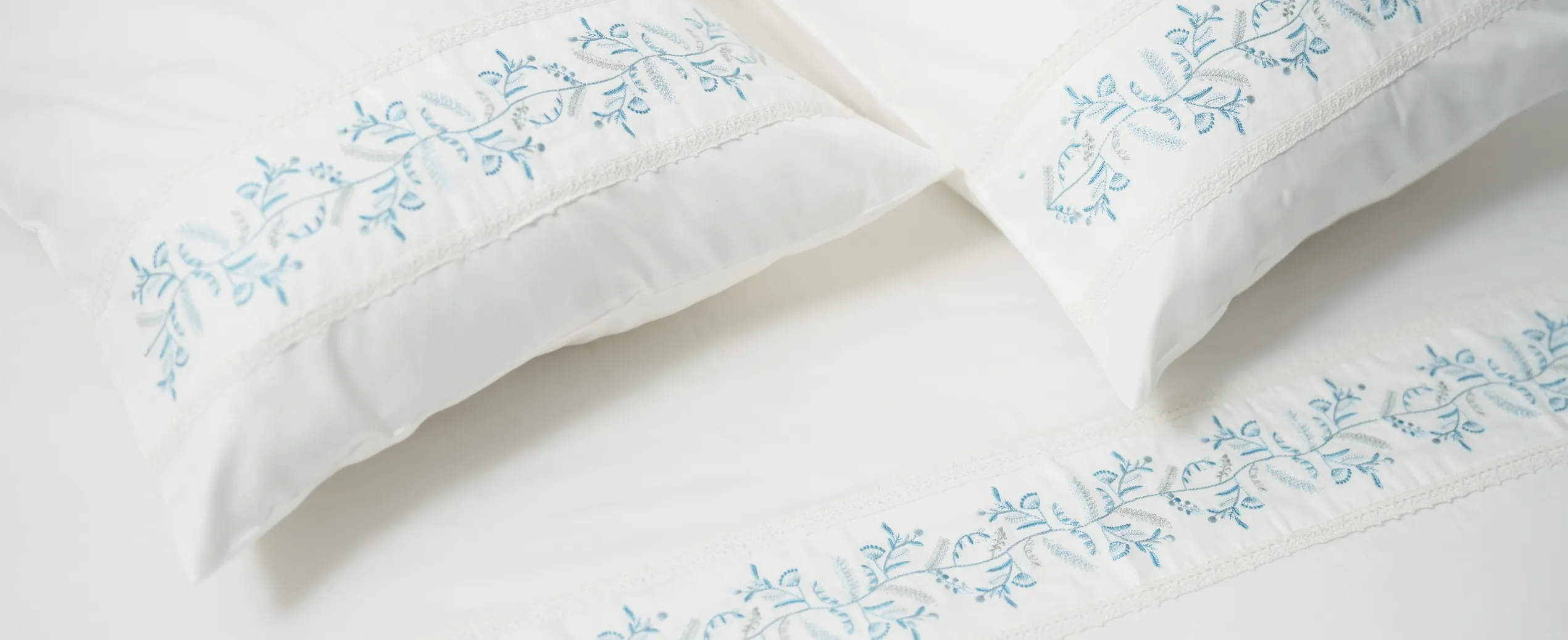 Homepage banner desktop